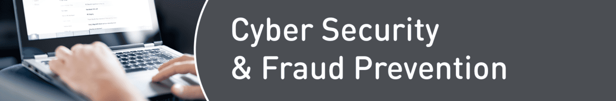 Cyber Security & Fraud Prevention