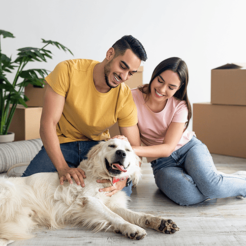 Man and woman sitting on floor petting dog surrounded by boxes